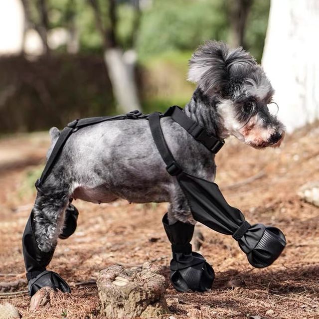 사계절 강아지 외출 신발 반려동물 방수 장화 블랙 L