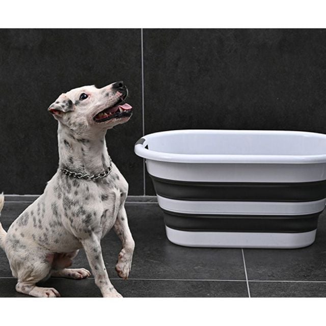 반려동물 접이식 목욕통 소형 대형 강아지 고양이 용품