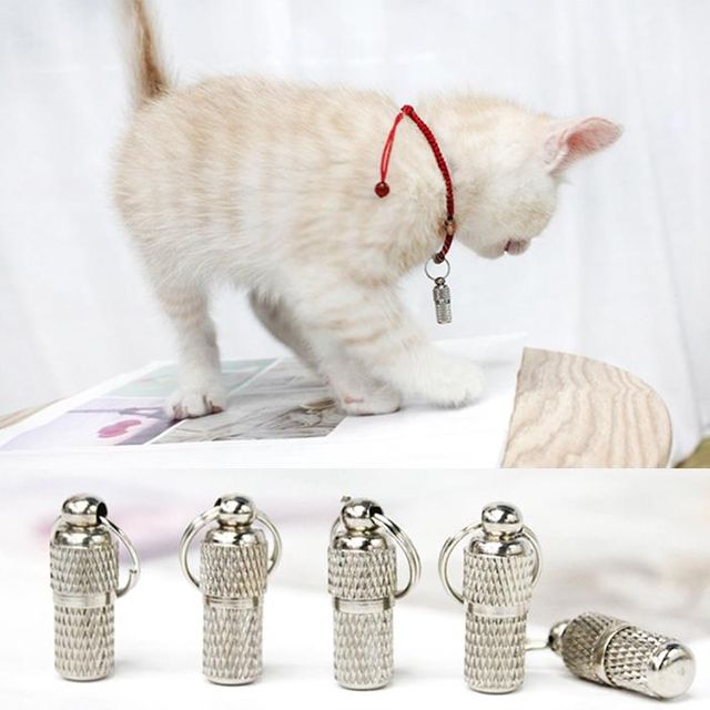 강아지 인식표 목걸이 5개입 고양이 분실방지 애견용