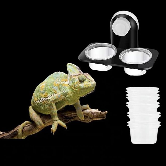 흡착형 파충류 먹이그릇 2컵 리필컵 식기 곤총 거북이
