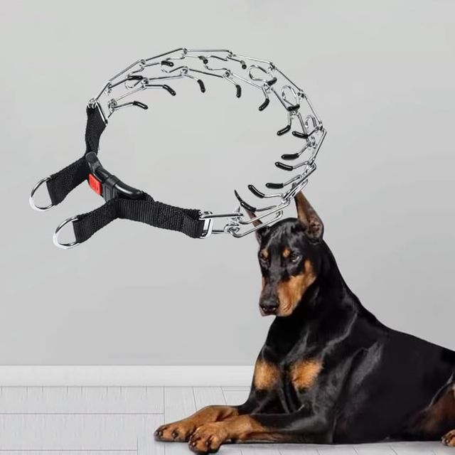 반려견 강아지 행동교정 목줄 훈련용 4.0mm x 60cm