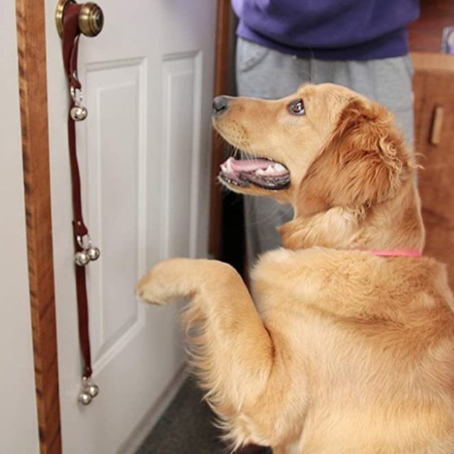 반려동물 출입벨 스트랩 초인종 걸이줄 안내견 훈련벨