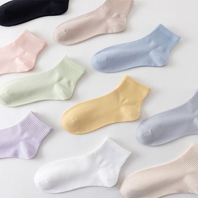 파스텔 중목 여성 양말 3켤레 데일리 무지 양말 세트