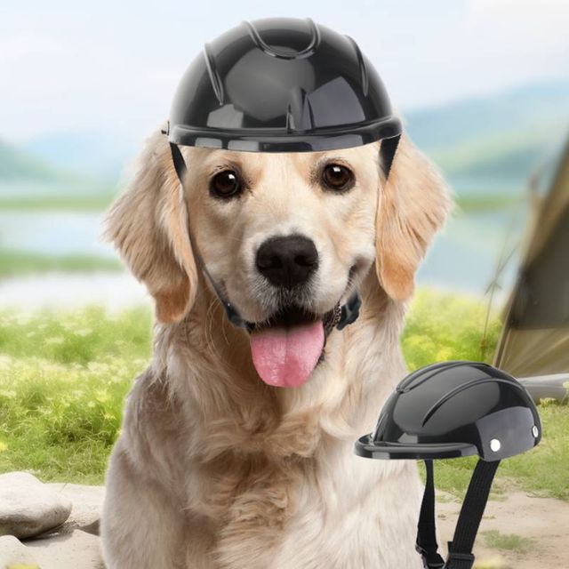 강아지 모자 헬멧 반려동물 머리보호 드라이브 외출 안전모