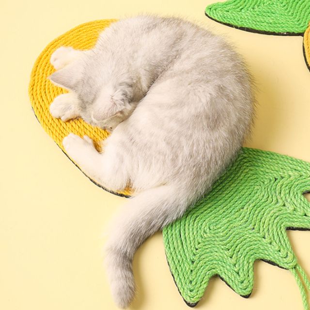 멍냥이랑 파인애플 고양이 벽걸이 스크래쳐