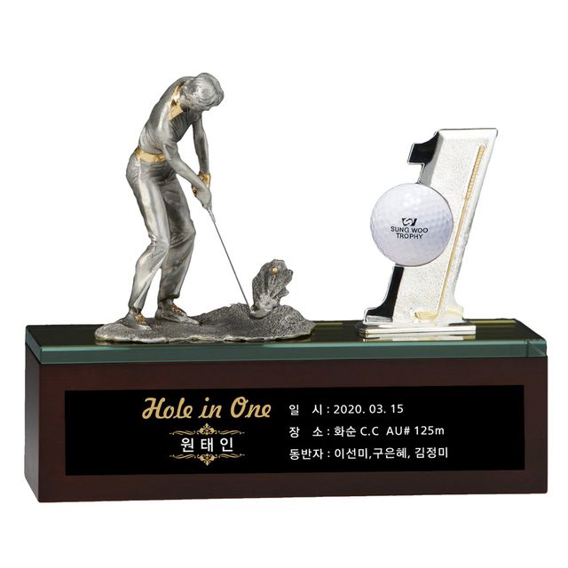 넘버원 SW231 주석 골프트로피 홀인원패 우승상패