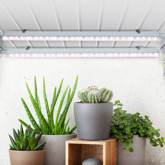 국내산 LED 식물 재배등 2개 풀세트 실내용 인공조명