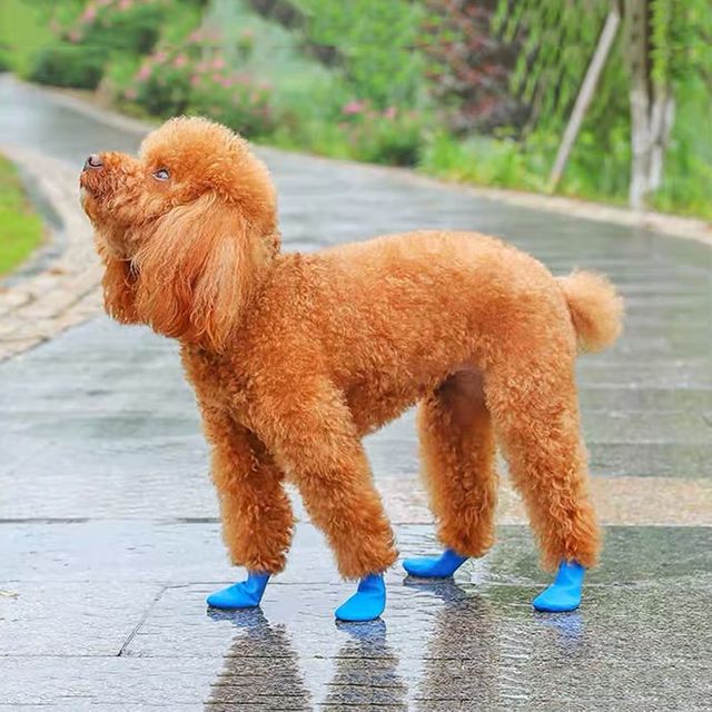 강아지 레인부츠 발커버 발토시 애완용 미끄럼방지