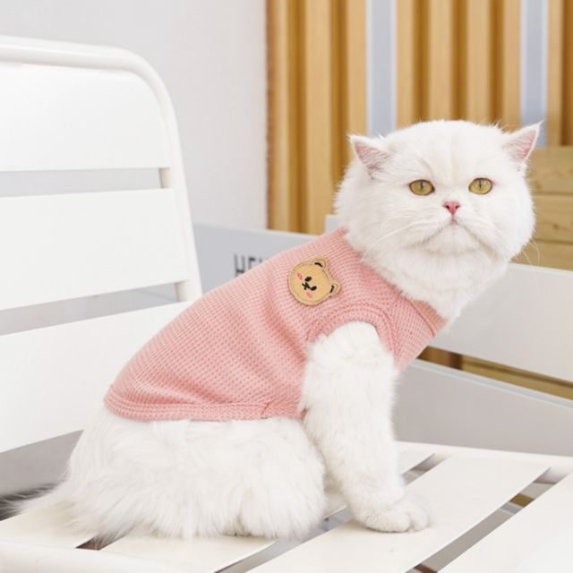 와플면 강아지 고양이 곰들이 베스트 GOT-1005861