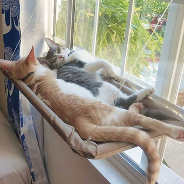 창문 설치 고양이 해먹 흡착판 캣타워 침대
