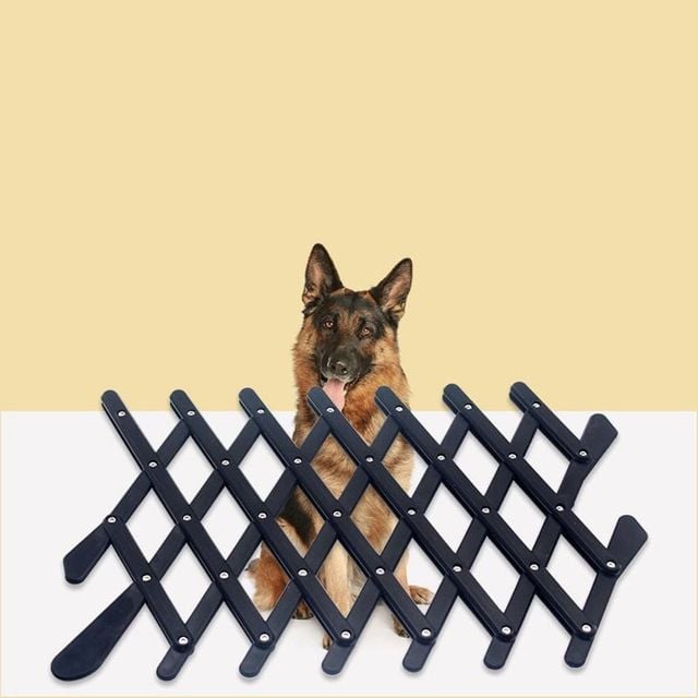 차량용 반려동물 안전가드 대형 강아지 고양이 추락 방지 울타리