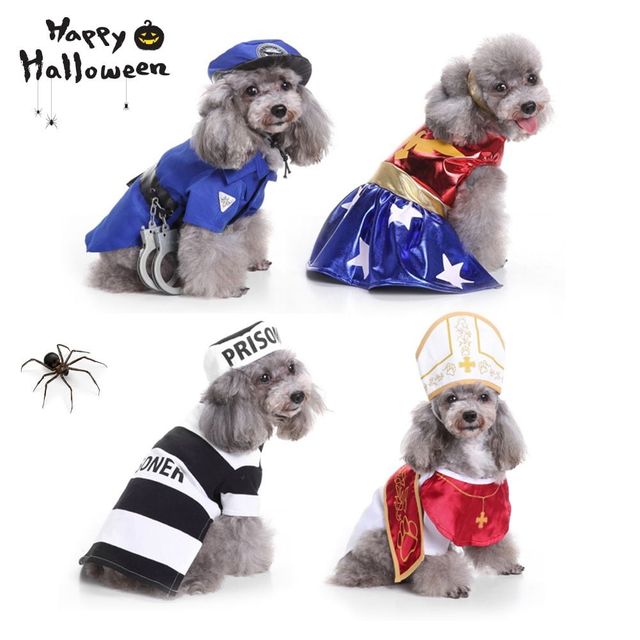 키밍 애완동물 할로윈 코스프레 의상 모음