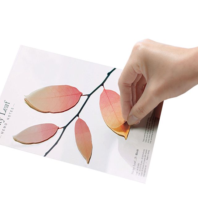 버치잎 대형 투명 스티커리프 모음 점착메모지 다꾸