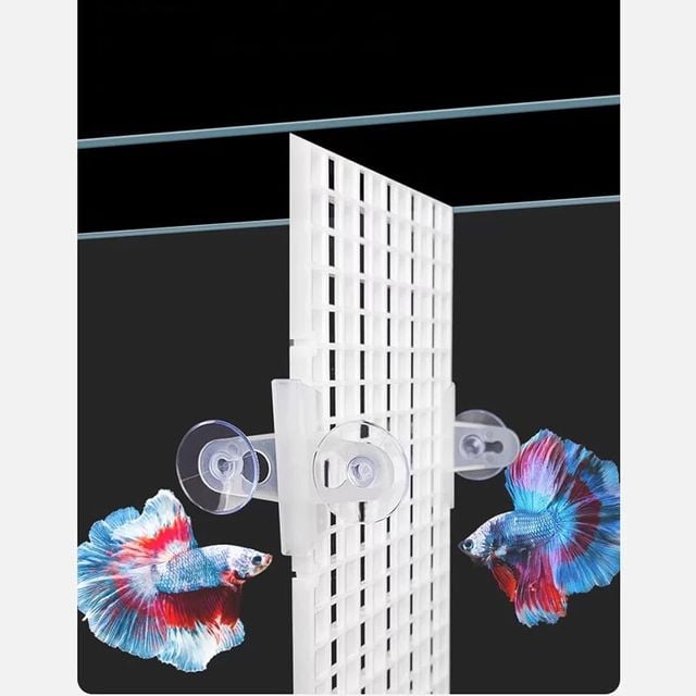 어항분리 칸막이 뚜껑 흡판 10p 지지대 고정클립 받침