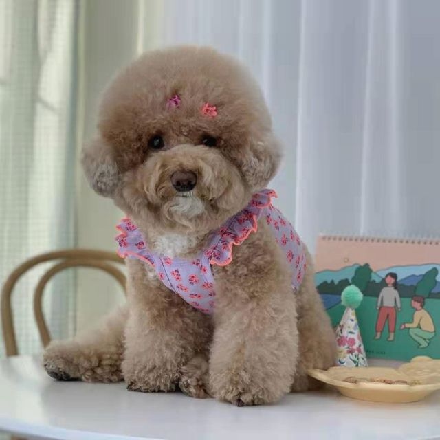 PET 강아지 옷 플라워 프릴 나시 티셔츠