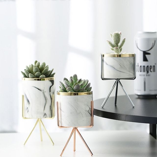 다육이 선인장 화분 고급 인테리어 소품 거치대 세트