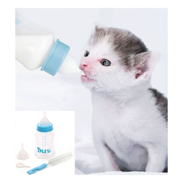 애완동물 젖병 세트 강아지 고양이 반려동물 150ml