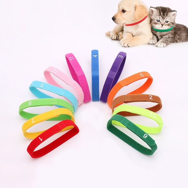 키밍 반려동물 출산 식별 칼라 숫자 찍찍이 12종세트