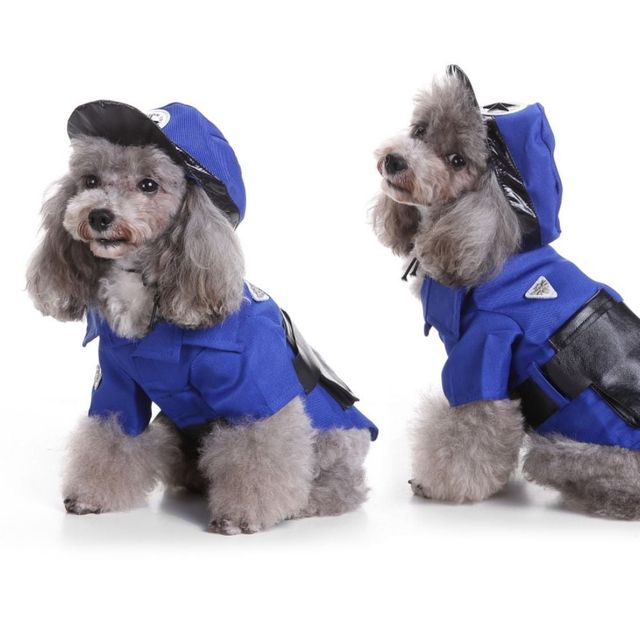 애완동물 할로윈 코스프레 의상 모음