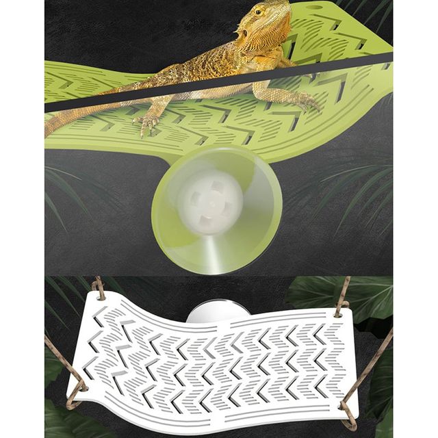 크레스티드게코 침대 거북이쉼터 파총류 사육장 대형