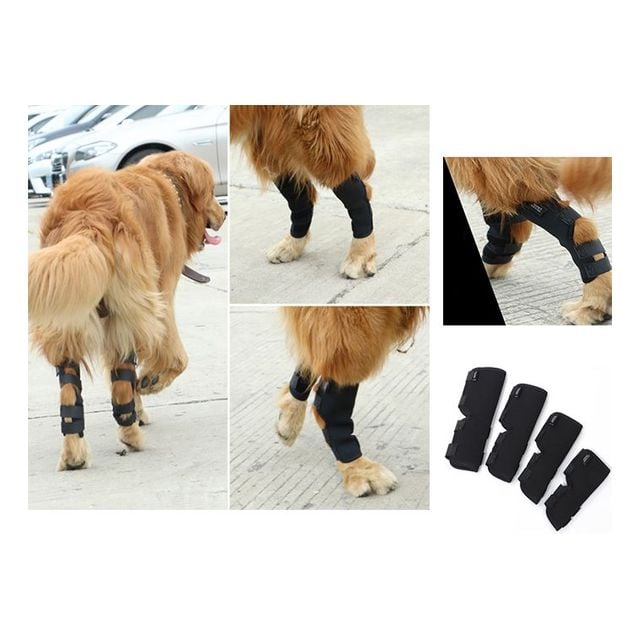 강아지 롱 다리보호대 2개입 밴드 보조기 슬개골 탈구