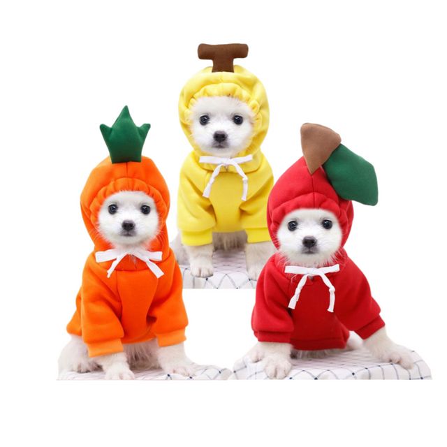 기모 강아지 고양이 반려동물 과일옷 GOT-1005851