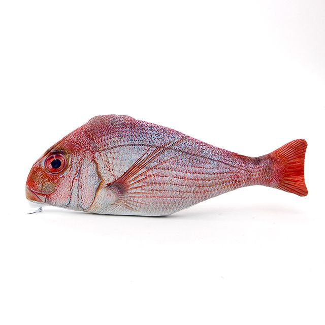 리얼 생선 물고기 펜슬케이스 아이디어 필통(제작 로고 인쇄 홍보 기념품 판촉물)