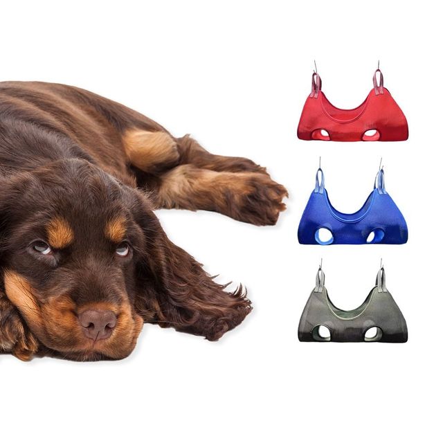 사계절 애완동물 미용해먹 반려견 손질 필수템