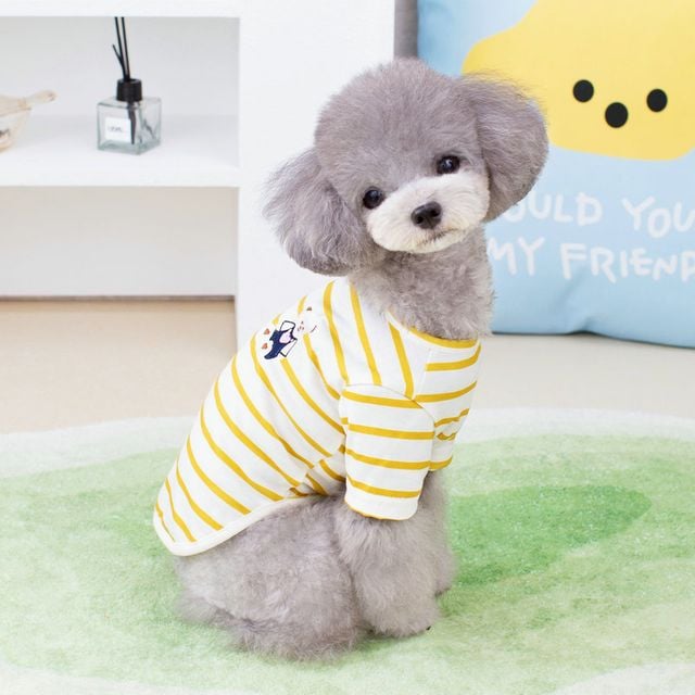 하트곰 스트라이프 반팔 티셔츠 강아지옷 BI-A100360