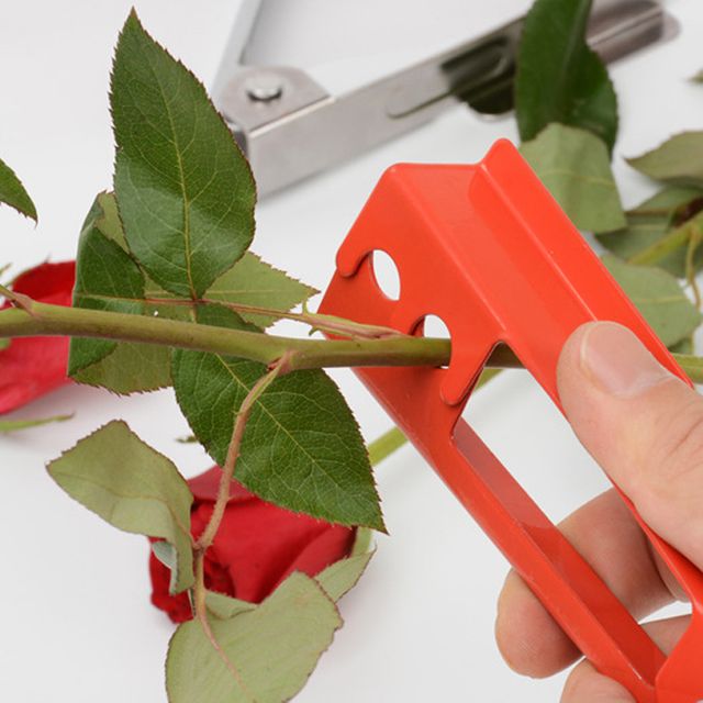 장미 가시 제거기 꽃꽂이 재료 화훼장식기능사 실기