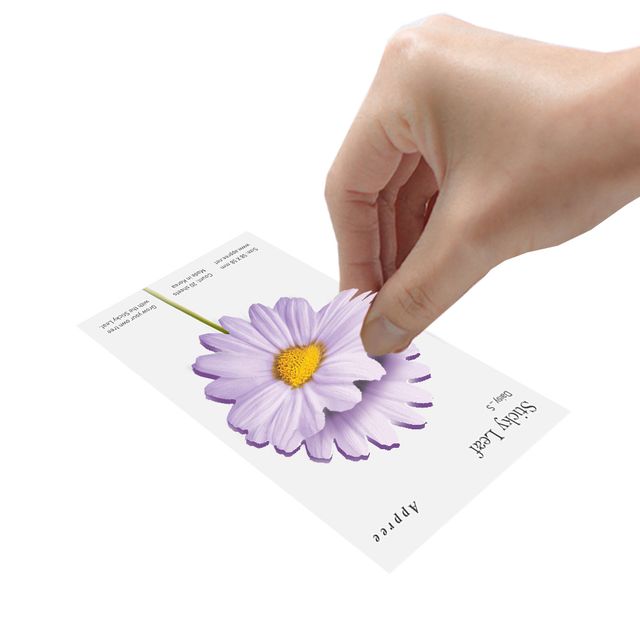 데이지 외 소형 스티커리프 모음 점착메모지 꽃잎