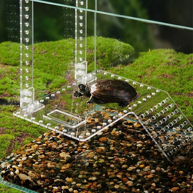 거북이육지 거북이쉼터 놀이터 건조대 은신처 소형