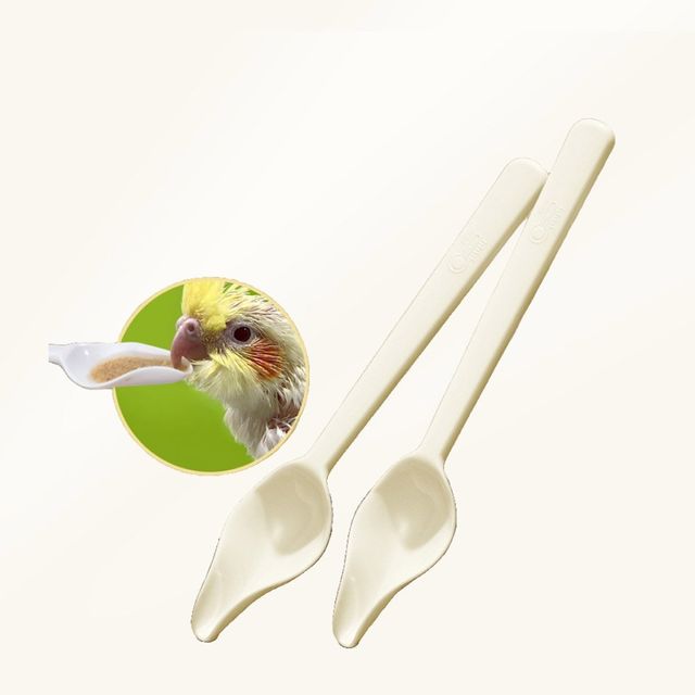 키밍 앵무새 이유식 스푼 10p 먹이 키우기 새용품 조류용품