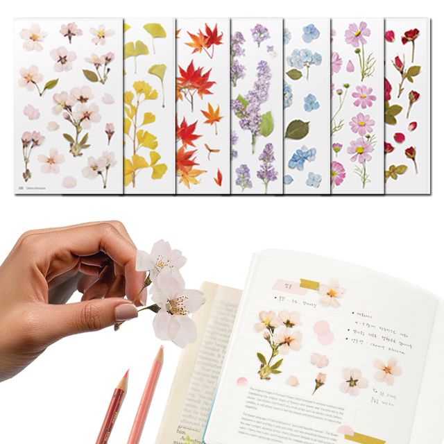 식물 꽃스티커 압화 모음 다이어리 꾸미기 벚꽃