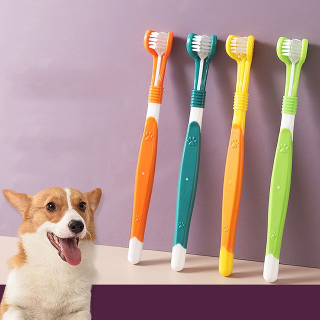 강아지 3면 칫솔 3개입 고양이 반려동물 구강청결