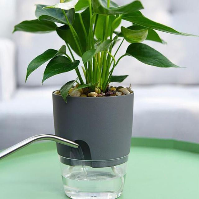 키밍 자동급수 인테리어화분 8.2cm 10.5cm 15.3cm