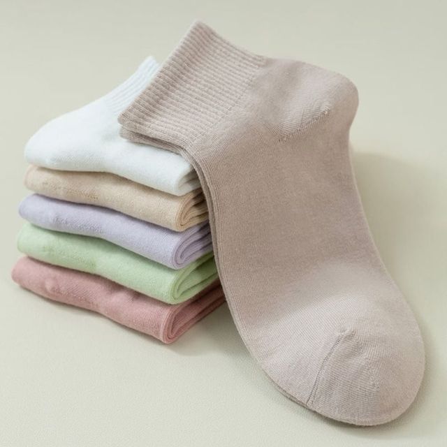 파스텔 중목 양말 3켤레 데일리 무지 양말 여성용