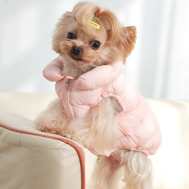 강아지 패딩 조끼 경량 가을 겨울 애견 의류 개옷