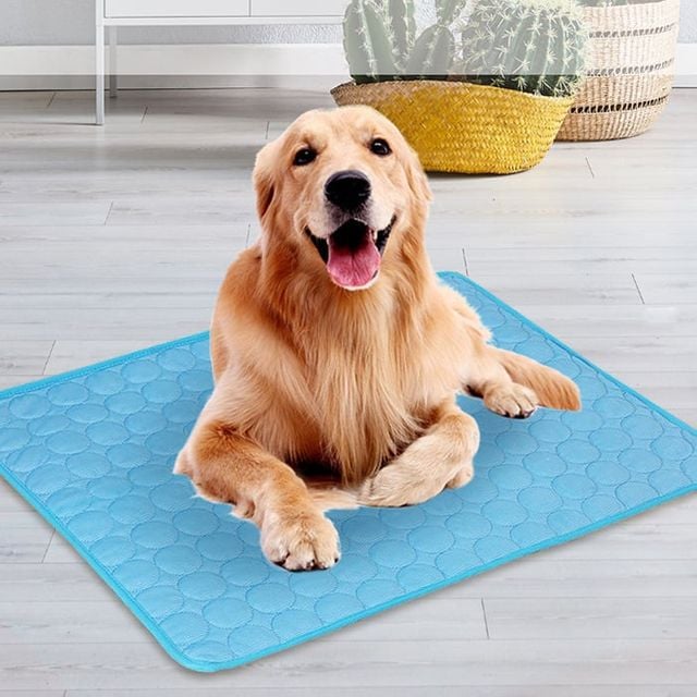 메쉬 반려동물 쿨매트 냉감 패드 침대 통기성 블루M