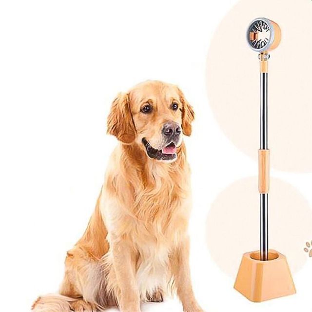 애완견 드라이기 거치대 스탠드 고정 미용 용품