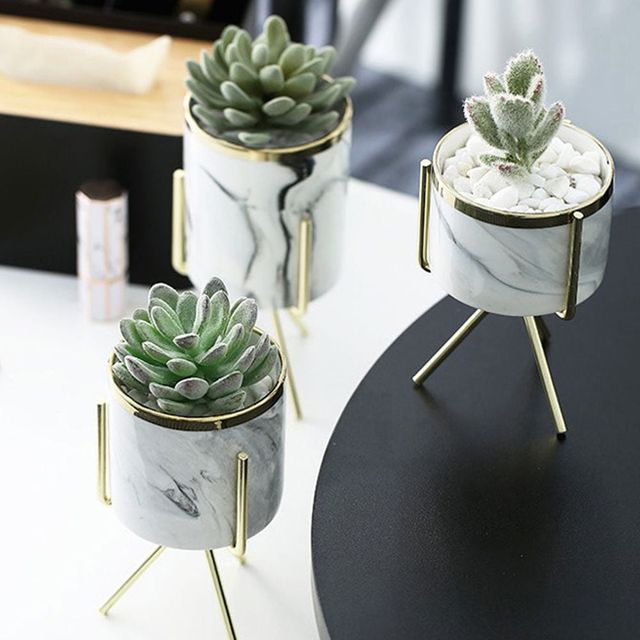 다육이 선인장 화분 인테리어 소품 거치대 고급형