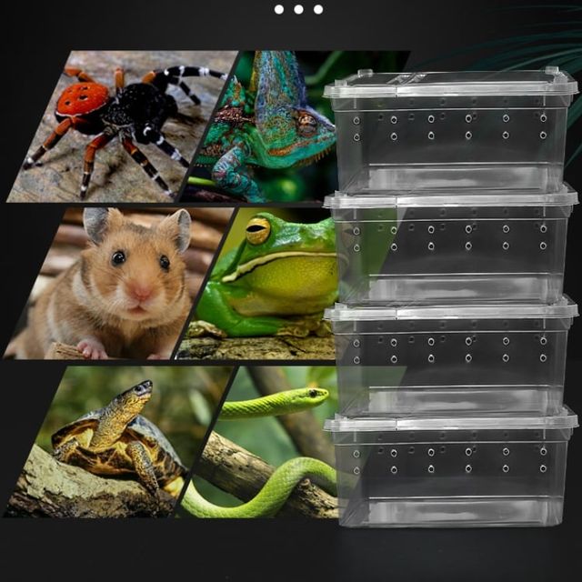 도마뱀 사육장 적재형 케이지 거미뱀 달팽이 사육함