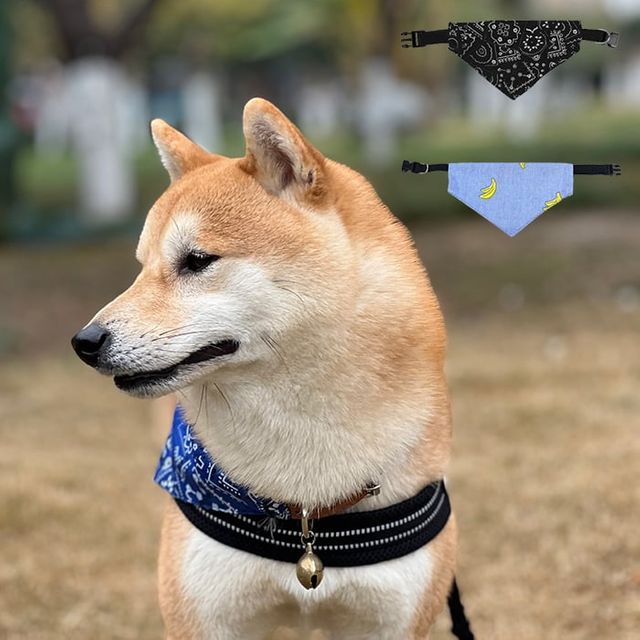 강아지 스카프 애견용품 삼각 침받이 턱받이 쁘띠