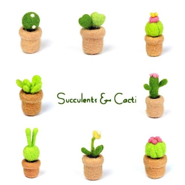 초보자용 양모펠트 선인장 다육이 DIY 세트 4개입