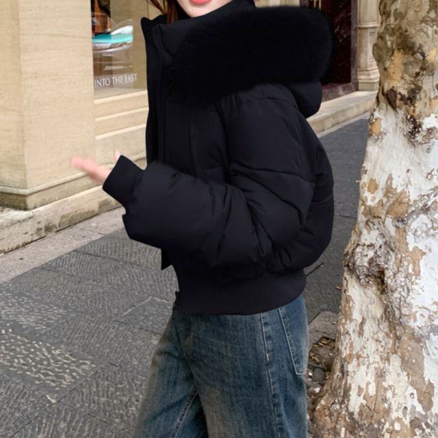 퍼 트리밍 크롭 패딩 점퍼 SNY-1005361