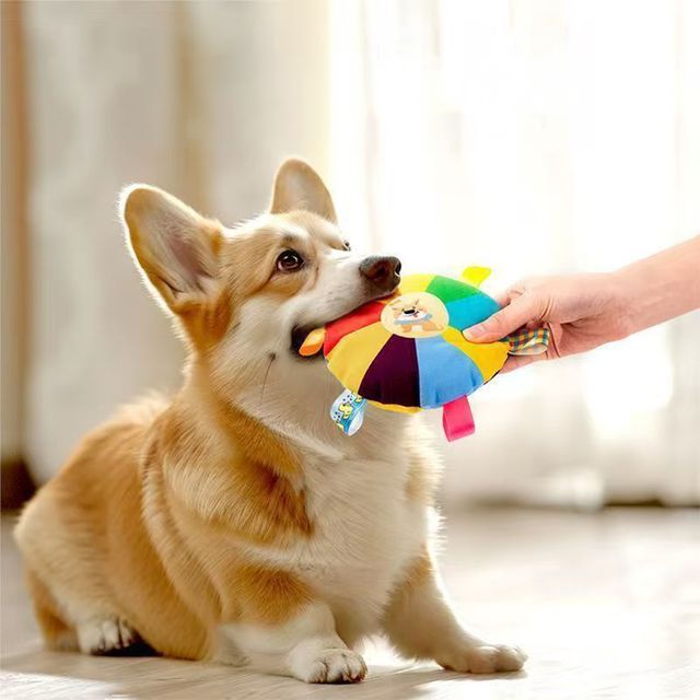 반려동물 스트레스 해소 삑삑이 쿠션 장난감 HM-1007336