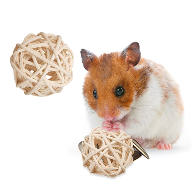 등나무공 햄스터 장난감 앵무새 노즈워크