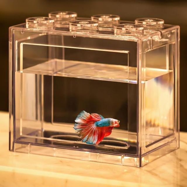 수경식물 미니어항 사각형 블럭 칸막이 세트