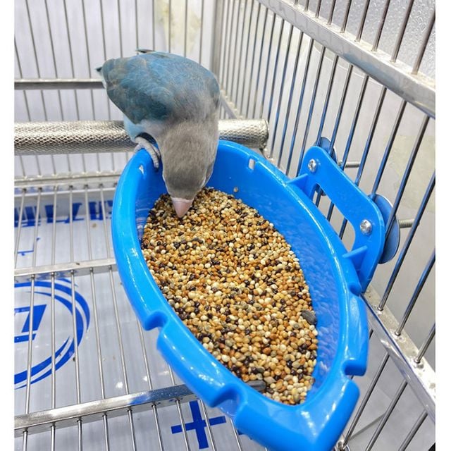 걸이식 앵무새 욕조 식기 목욕통 먹이통 사료통
