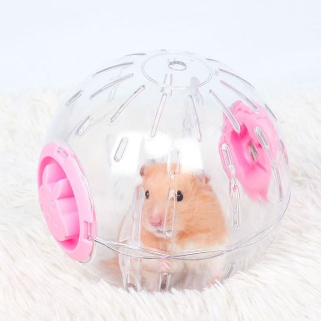 햄스터 운동 헬스볼 투명 장난감